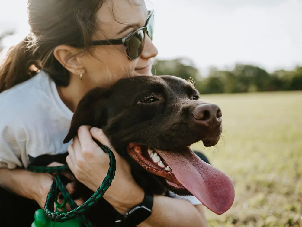dog pain opening jaw - woman holding dog around neck