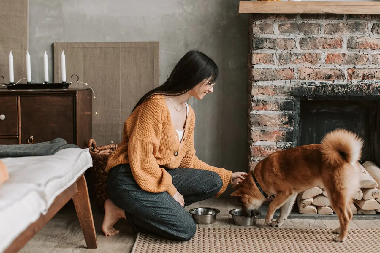 caring for a dog with no teeth; woman petting dog while it eats out of bowl by fireplace