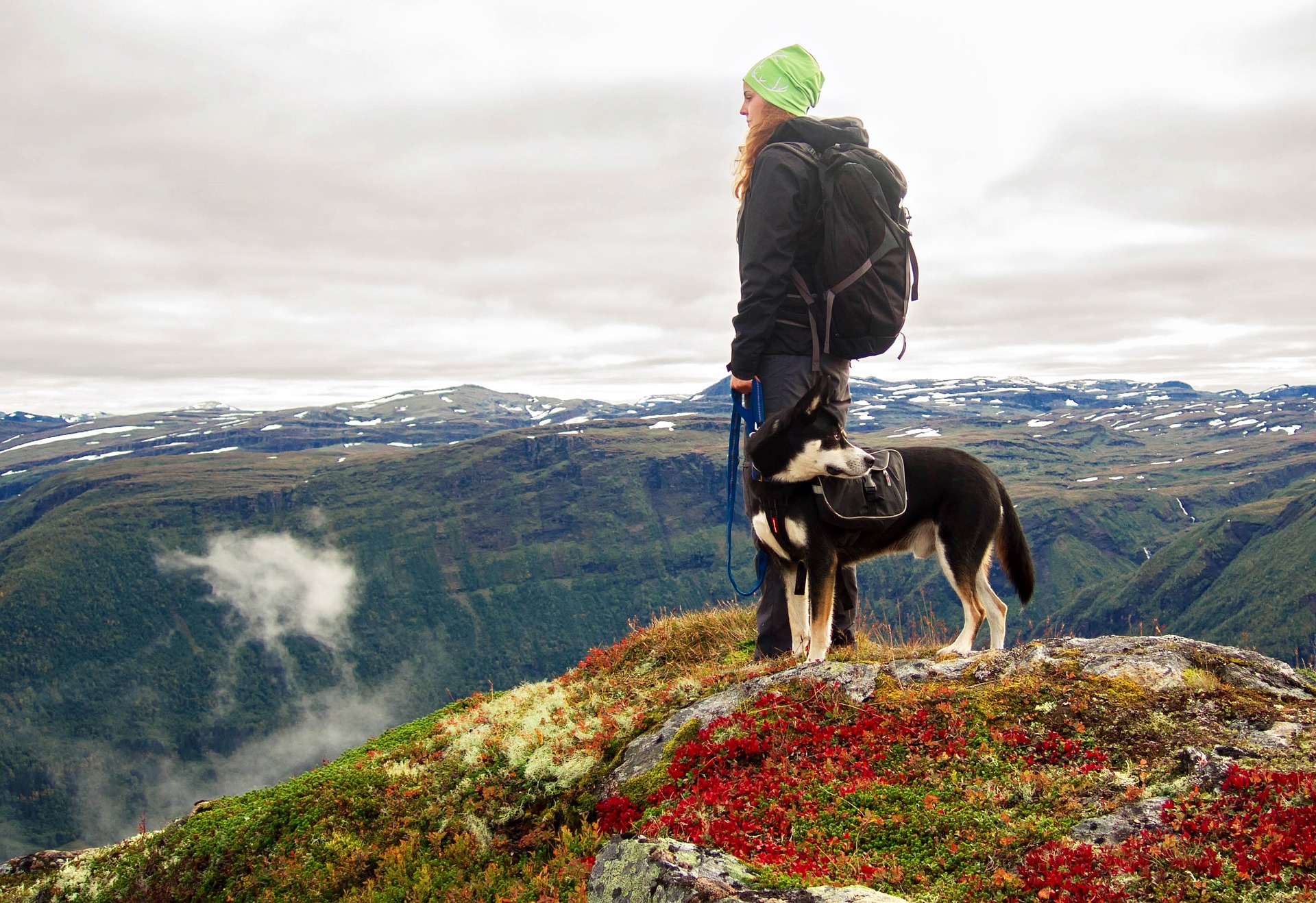 animal dental care and oral surgery - dog and owner standing on a mountain top after a hike