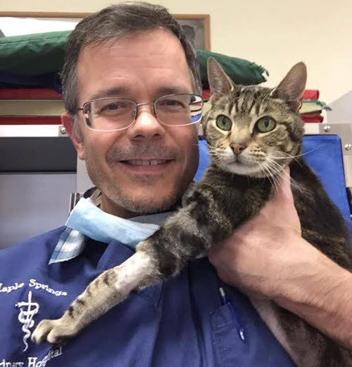 veterinary dentist in Colorado - Dr. Vall