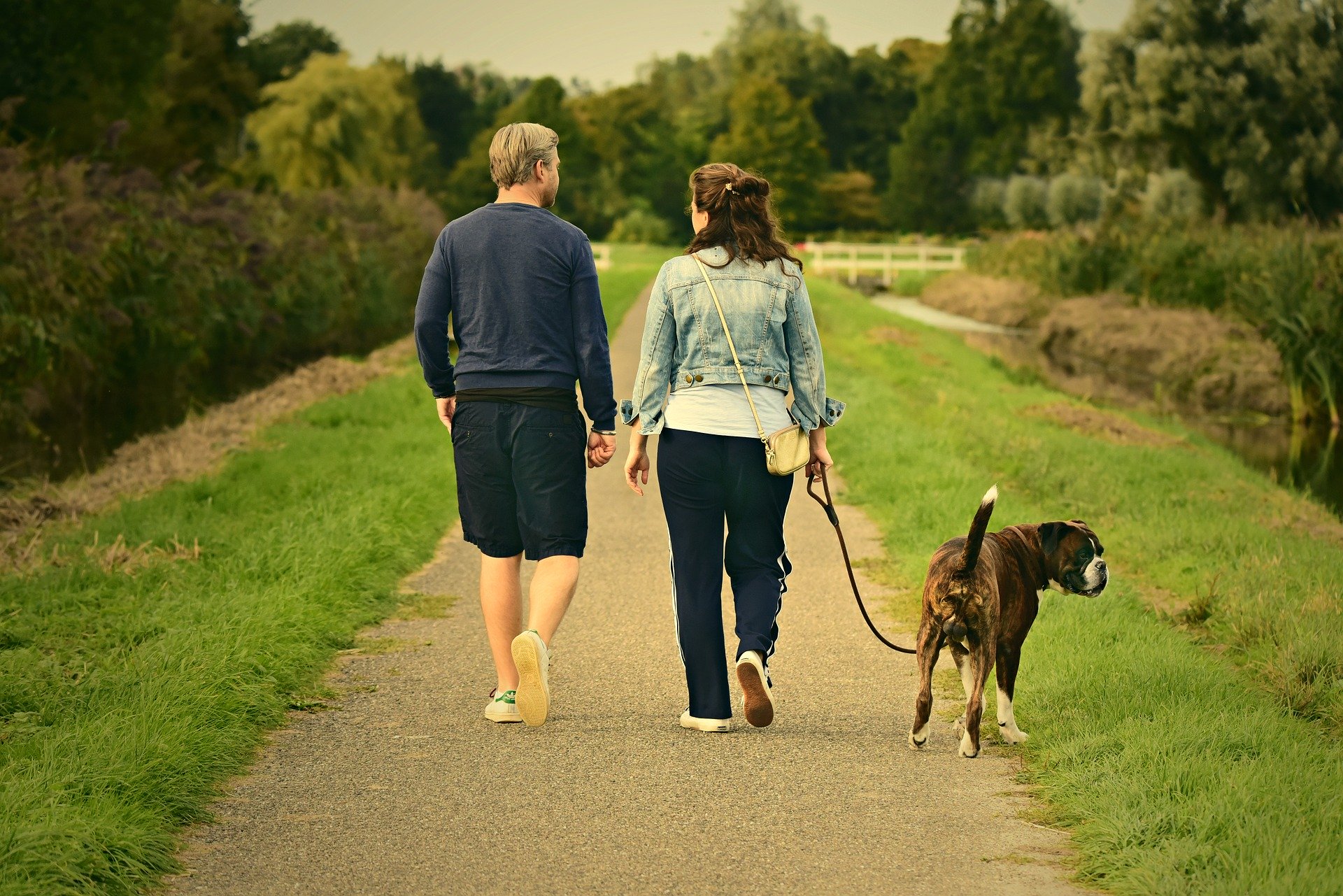 veterinary dental care - couple walking dog
