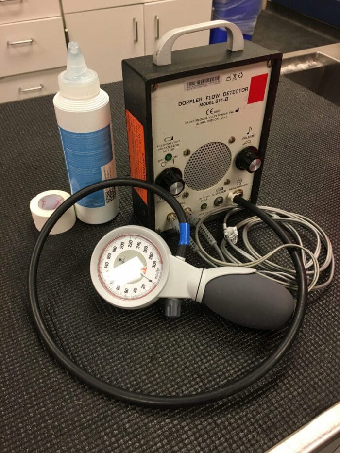 Specialty Anesthesia Animal Dental Care & Oral Surgery